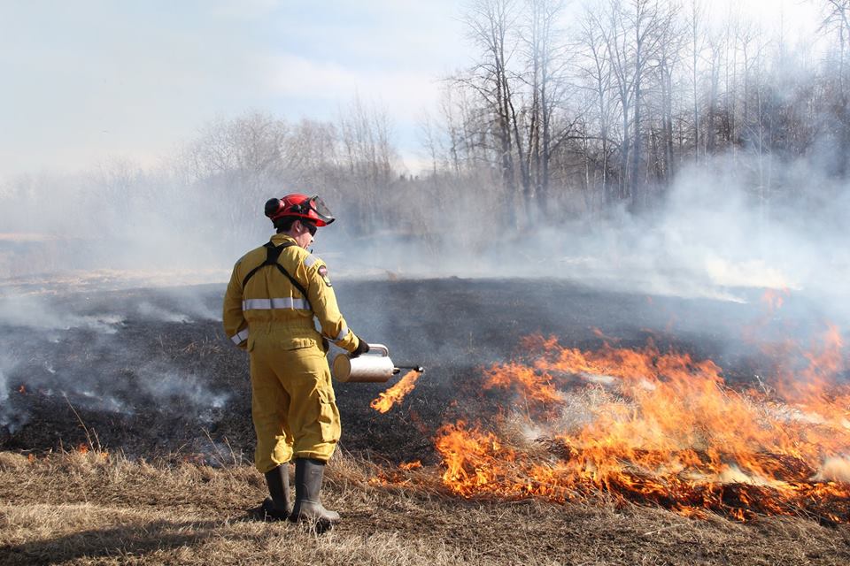 Grande Prairie region's wildfire danger increases to very ...