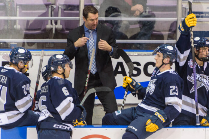 Coach Schmidt on the bench (Supplied, GP Storm)