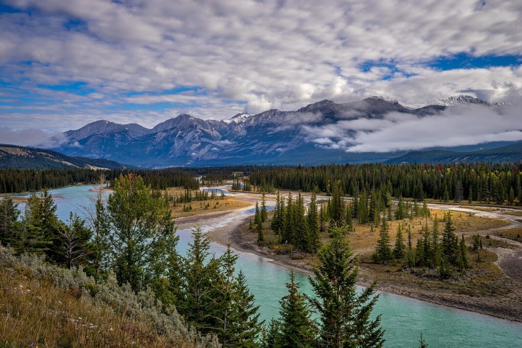 Officials suggest Jasper wildfire is the largest in 100 years My