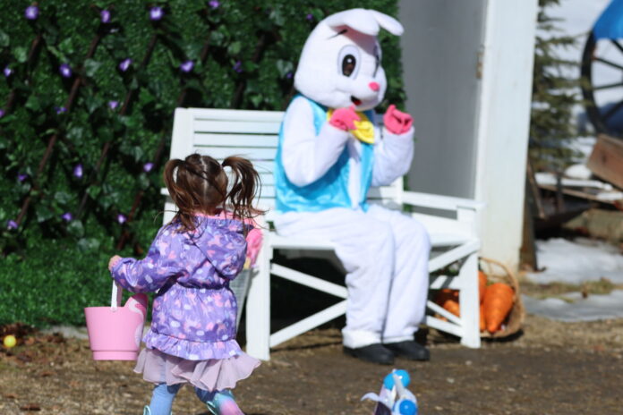 Easter Eggstravaganza (Supplied, City of GP)